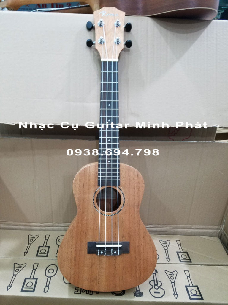 shop ukulele concert giá rẻ bình tân