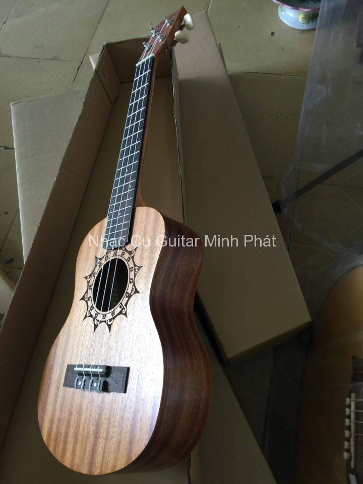 Shop đàn ukulele concert giá rẻ tại Tp.HCM
