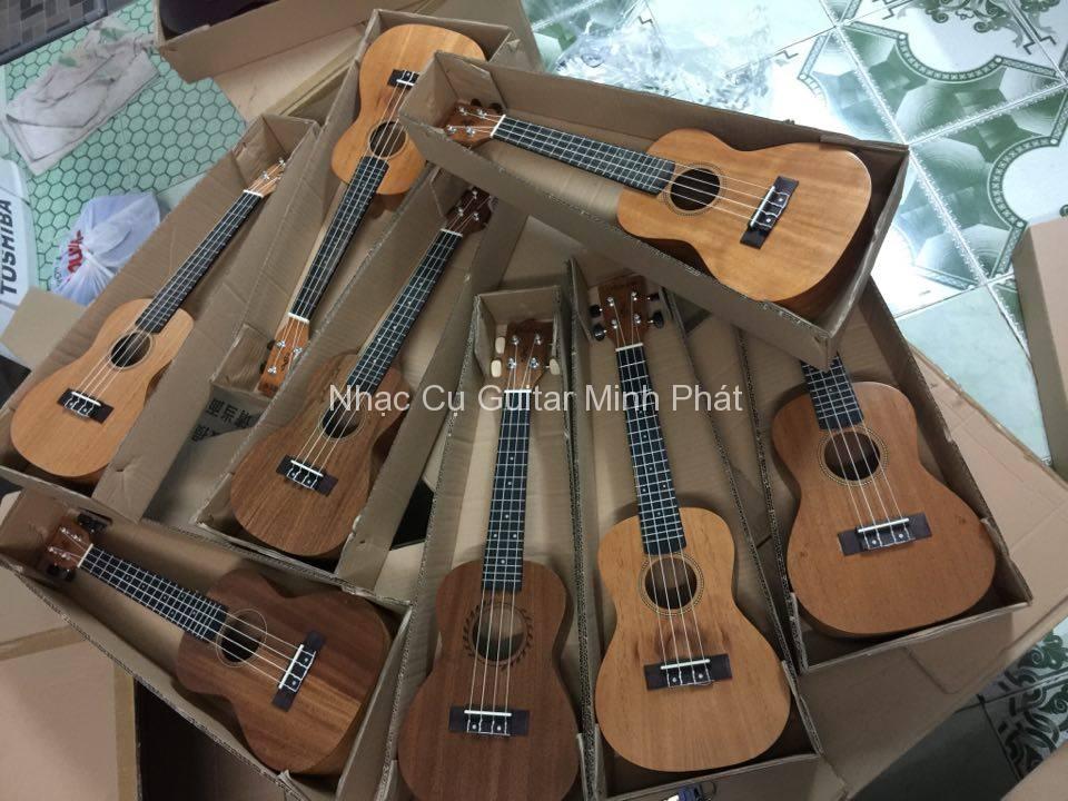 Đàn ukulele giá rẻ