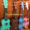 Địa chỉ bán đàn ukulele giá rẻ tphcm