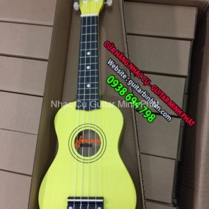 Đàn ukulele giá rẻ tphcm