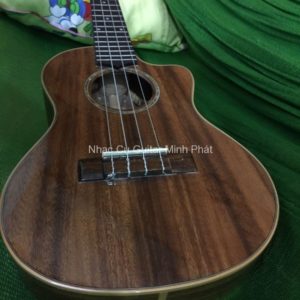 Đàn ukulele tenor giá rẻ