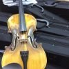 đàn violin giá rẻ