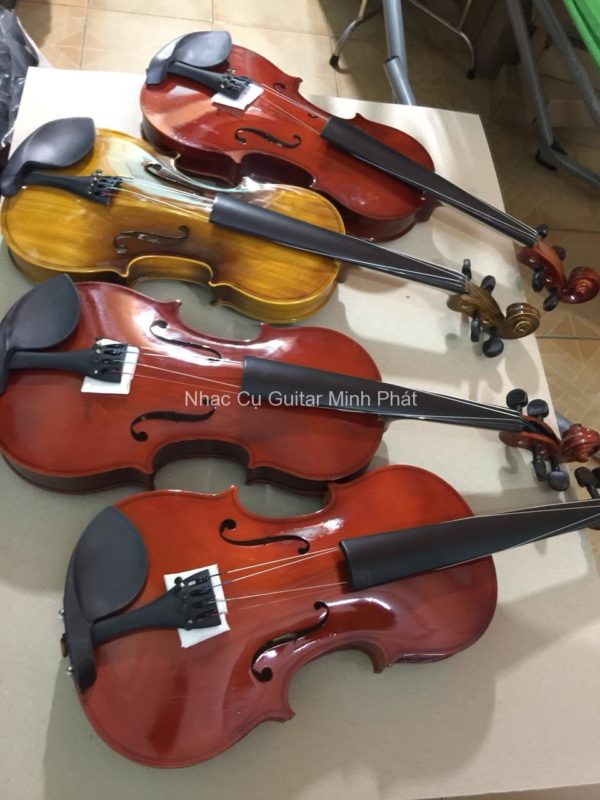 Mua đàn violin giá rẻ ở đâu tại Tp. Hồ Chí Minh.