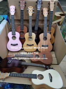 shop đàn ukulele concert giá rẻ nhất sài gòn