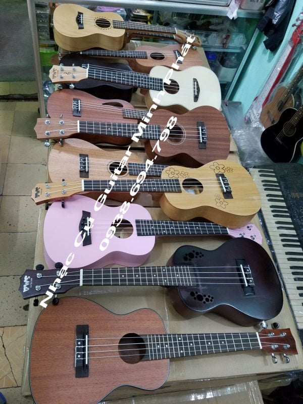 shop ukulele concert giá rẻ bình tân