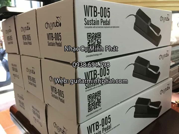 Pedal chính hãng WTB-005 giá siêu rẻ (1)