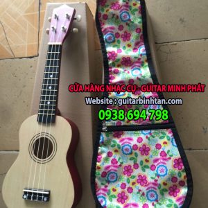 Bao đàn ukulele giá rẻ tại tphcm