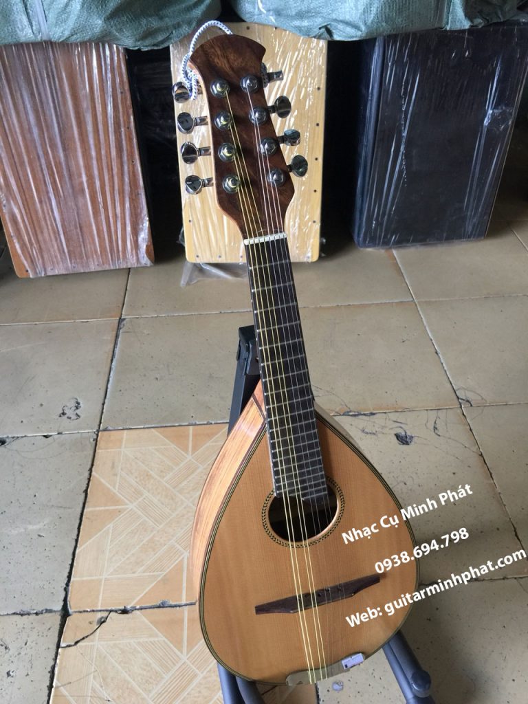 cửa hàng bán đàn mandolin giá rẻ