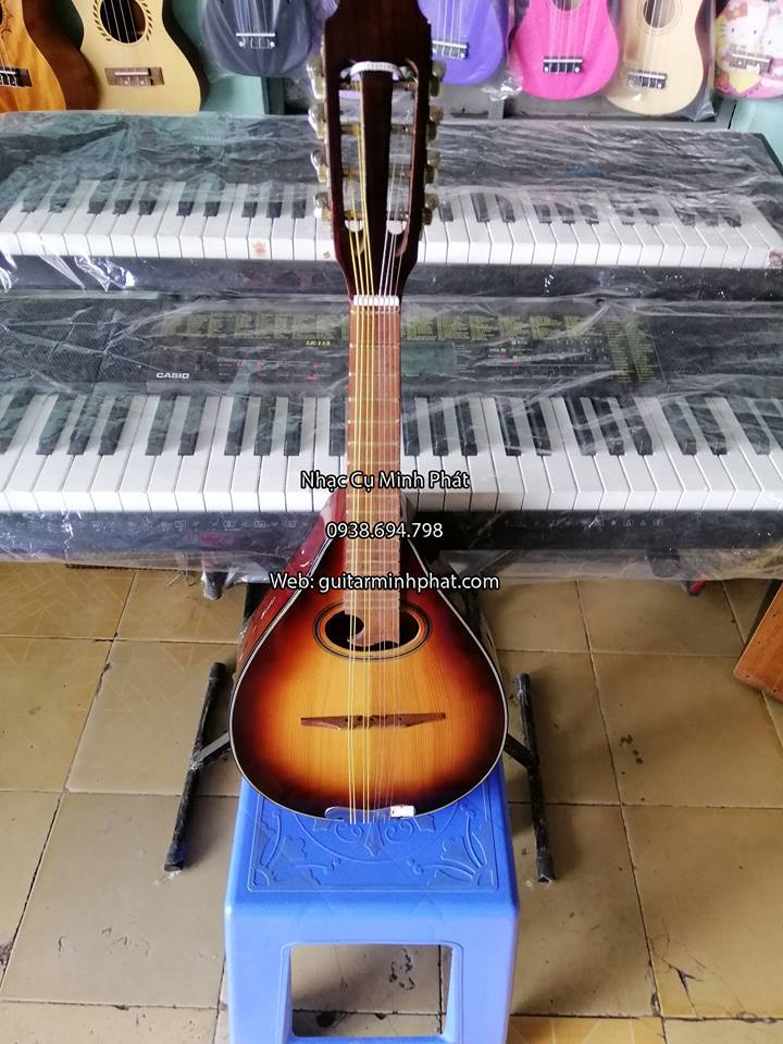 đàn mandolin giá rẻ dành cho người mới tập chơi tại tphcm 