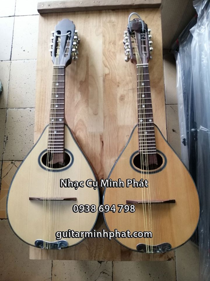 Địa chỉ mua đàn mandolin chất lượng nhất tại tphcm