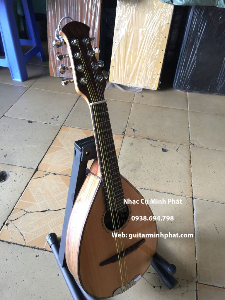 mua đàn mandolin giá rẻ tại tphcm