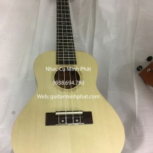 Cửa hàng bán đàn ukulele concert giá rẻ - ship cod hàng toàn quốc