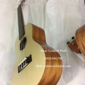 Cửa hàng bán đàn ukulele concert giá rẻ - ship cod hàng toàn quốc