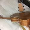 dan ukulele concert gia re (6)
