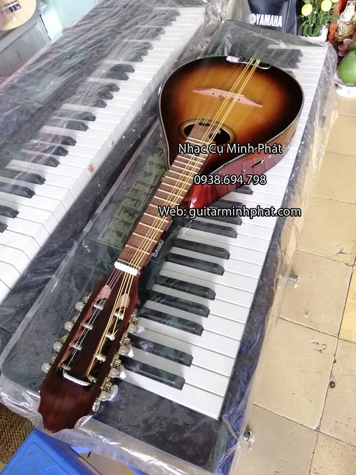 Mua đàn mandolin giá rẻ tại tphcm - nhạc cụ minh phát