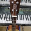 ban-dan-ukulele-tenor-gia-re-tphcm (3)