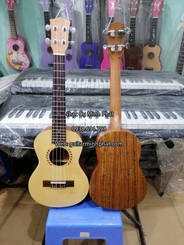mua-dan-ukulele-tenor-gia-re-hcm