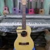 mua-dan-ukulele-tenor-o-tinh-lo-10-binh-tan (3)