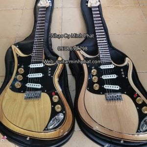 Đàn guitar điện tesco giá rẻ tphcm