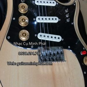 Đàn guitar điện tesco giá rẻ tphcm