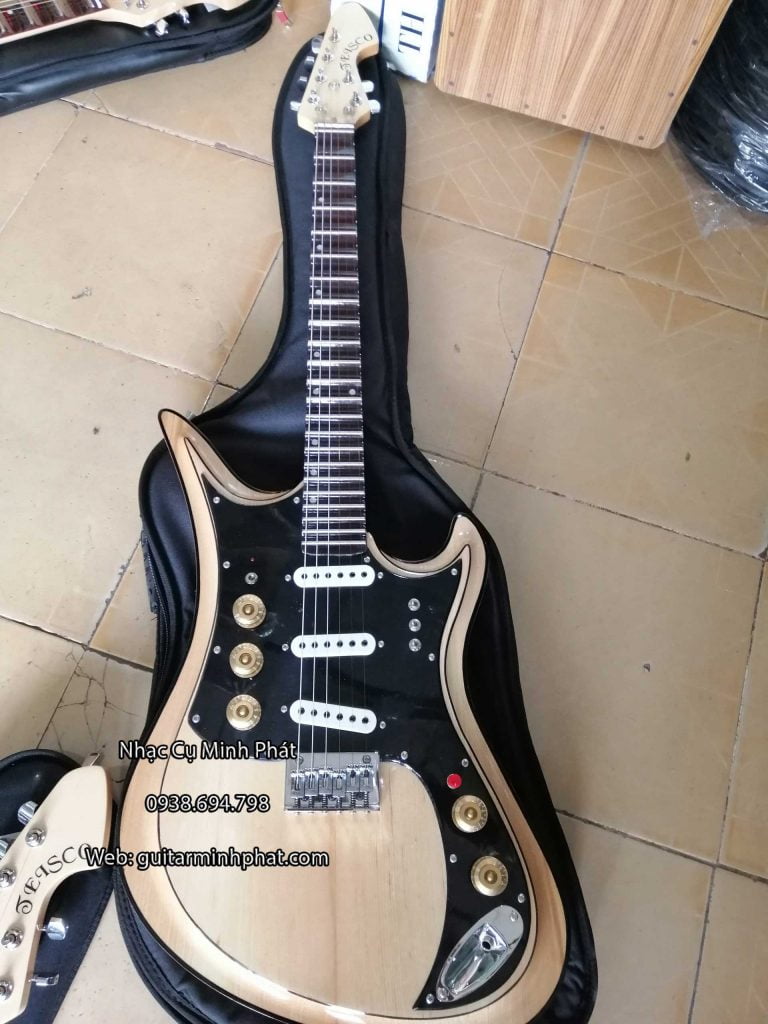 Cửa hàng chuyên mua bán đàn guitar điện tesco giá rẻ bình tân