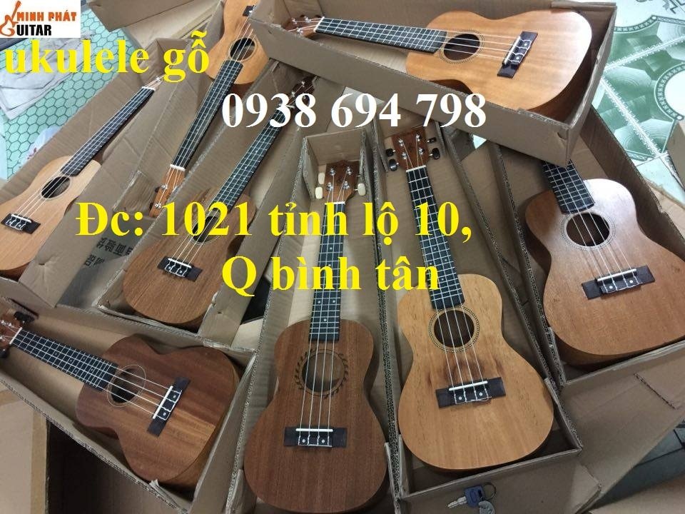 Nên chọn mua đàn ukulele địa chỉ nào thì uy tín?