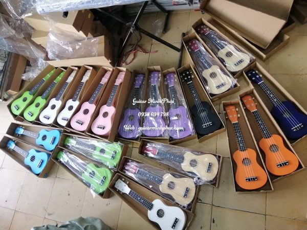 cửa hàng đàn ukulele tại nhạc cụ quận bình tân tphcm