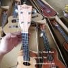 dan-ukulele-concert-deviser-lam-tu-go-hong-dao-bac-phi-va-bo-khoa-ino