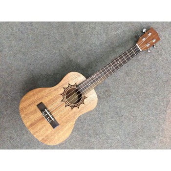 giá đàn một cây ukulele tenor là bao nhiêu tại tphcm
