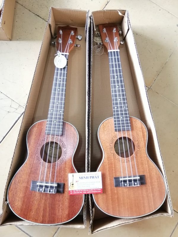 shop-dan-ukulele-concert-desiver