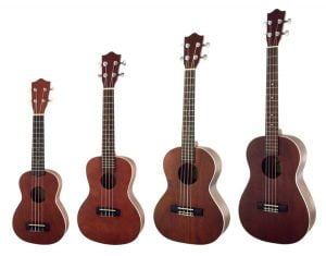 Đàn ukulele có mấy loại nên mua loại nào tốt cho việc học