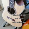 Guitar-Acoustic- G-Danube-dang-tron-eo