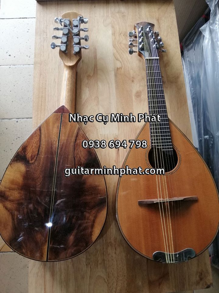 Mẫu đàn mandolin gỗ điệp cao cấp cho chất lượng âm thanh vang và ấm nhất - Mua hàng trực tiếp tại cửa hàng nhạc cụ Minh Phát tphcm