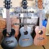 ban-dan-ukulele-concert-tai-quan9-thu-duc-tphcm