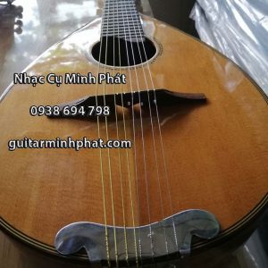 Mẫu đàn mandolin gỗ điệp cao cấp cho chất lượng âm thanh vang và ấm nhất - Mua hàng trực tiếp tại cửa hàng nhạc cụ Minh Phát tphcm