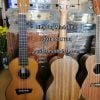 dan-ukulele-concert-tai-quan-9