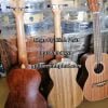 shop-dan-ukulele-concert-tphcm-quan-9