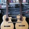 dan-guitar-classic-hd25c-go-hong-dao-gia-re-tphcm