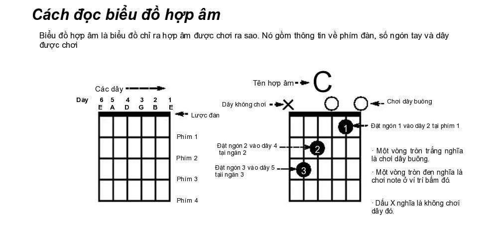 10 Hợp Âm Guitar Cơ Bản Cho Người Học - Nhạc Cụ Minh Phát