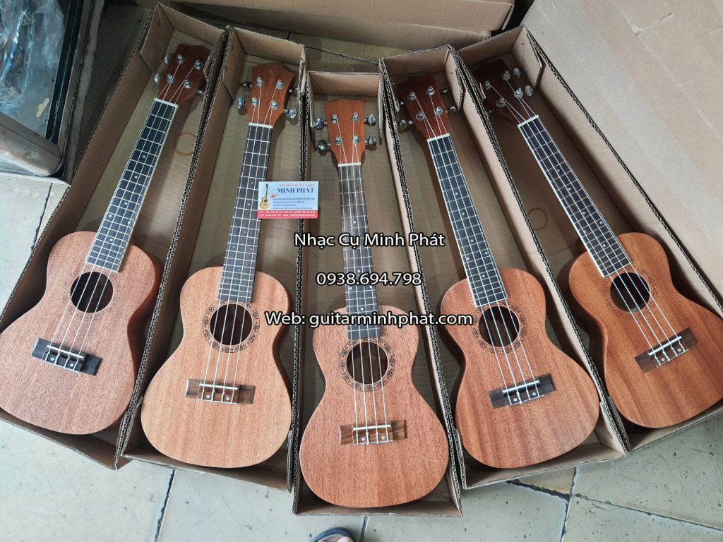 Địa điểm bán đàn ukulele Concert uy tín chất lượng bao hành chính hãng tại TPHCM