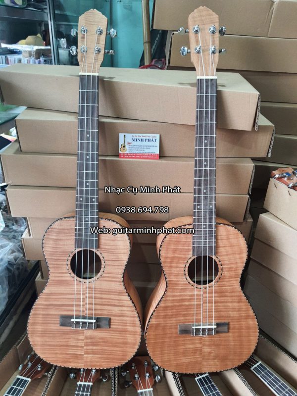 dan-ukulele-Baritone-cao-cap-gia-re (1)