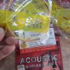day-guitar-acoustic-alice-A408SL (1)