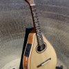 Đàn mandolin có EQ (kết nối ra loa) 8 ban dan mandolin co eq go tot chat luong am thanh hay 4