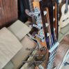 dan guitar classic advanced MP C2 go soi ky 2