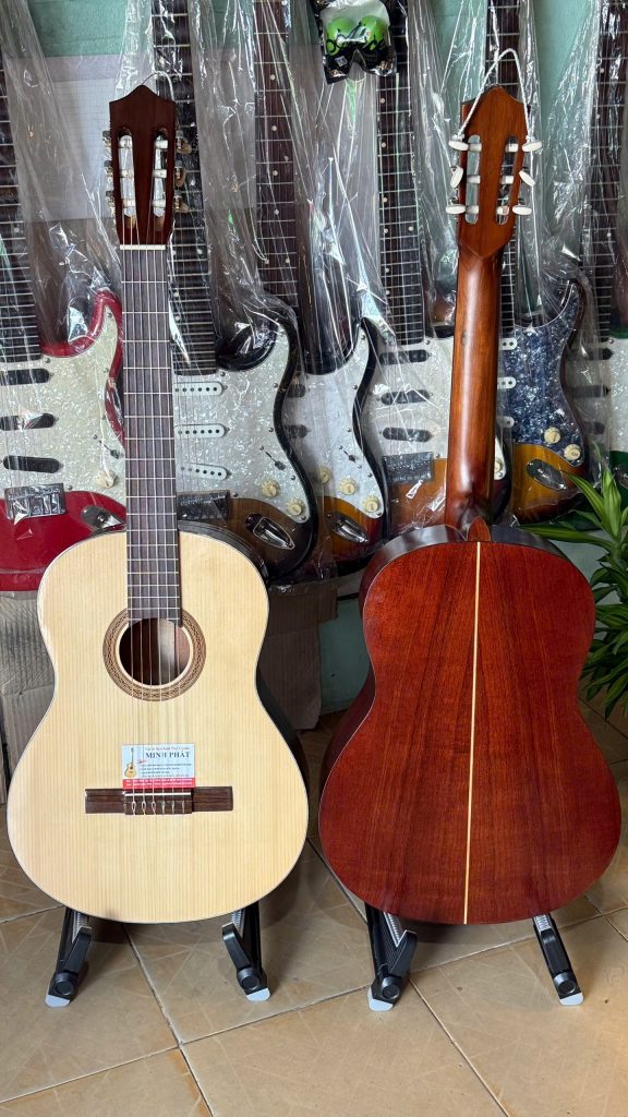 Guitar Classic Gỗ Hồng Đào Già Có Ty Chỉnh Cần MP-C3 4 Mặt Top gỗ thông - Mặt Lưng Của Đàn Guitar Classic Gỗ Hồng Đào MP-C3 Với Vân Gỗ Đẹp Mắt.