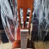 guitar classic gan eq 7545r go hong dao 4