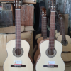Guitar Classic Gỗ Sồi Cao Cấp MP-C22 11 guitar classic go soi phap
