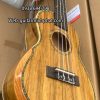 dan ukulele concert cao cap go nguyen tam 4