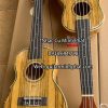 dan ukulele concert cao cap go nguyen tam 5
